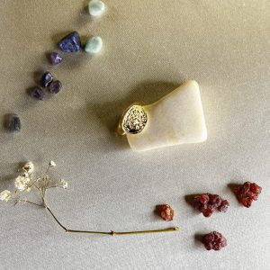 anillo-de-acero-inoxidable-con-bano-dorado-y-sello-de-arbol-de-la-vida