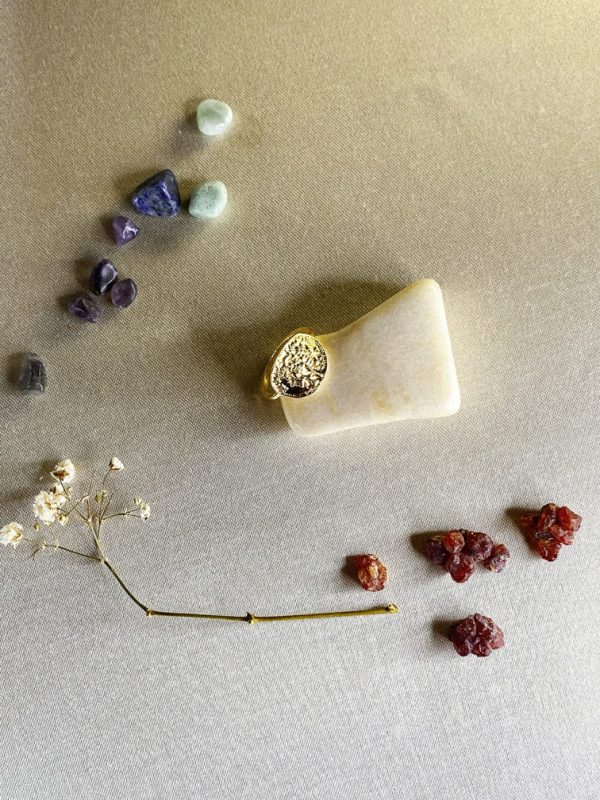 anillo-de-acero-inoxidable-con-bano-dorado-y-sello-de-arbol-de-la-vida