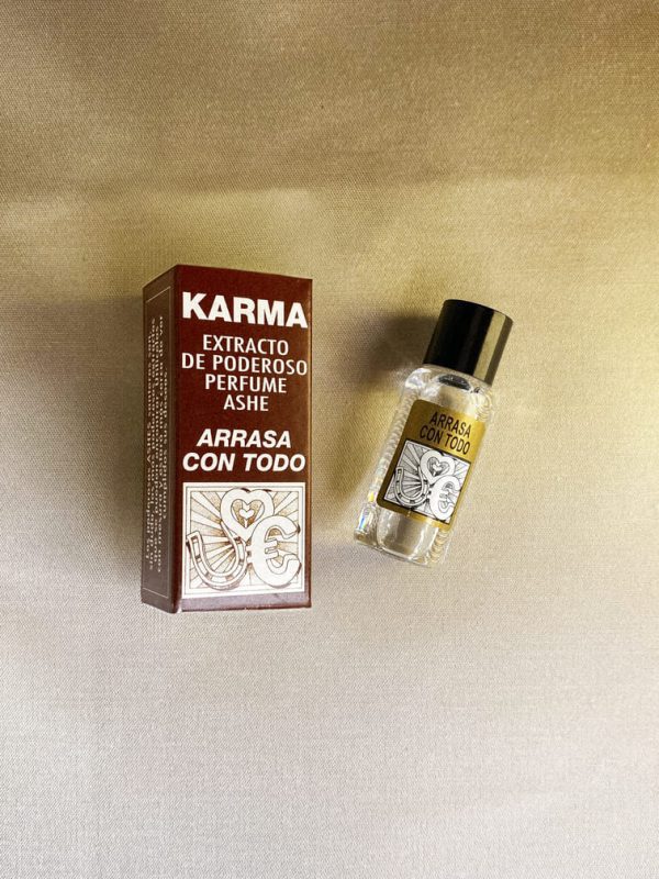 perfume-y-esencia-ashe-arrasa-con-todo-10-ml-eliminador-de-negatividad-caja