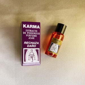 perfume-y-esencia-ashe-rechaza-dano-10-ml-escudo-protector-contra-danos-y-ataques