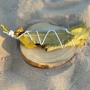 Sahumerio de Limonero y Laurel - Purificación y Protección