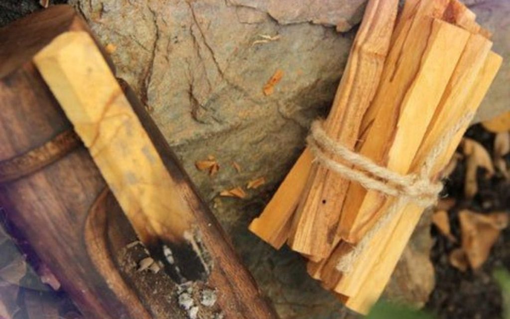 categoria-palo-santo